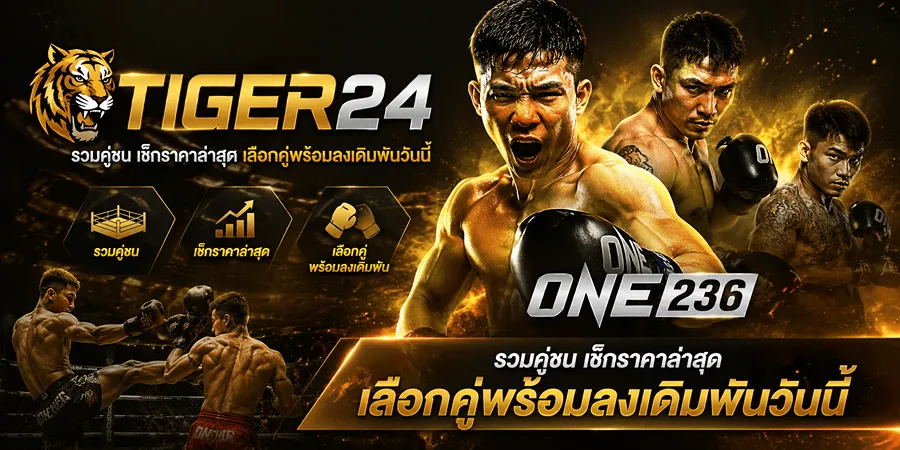 Tiger24 รวมคู่ชน เช็กราคาล่าสุด