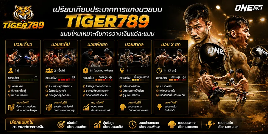 เปรียบเทียบประเภทการแทงมวยบน TIGER789