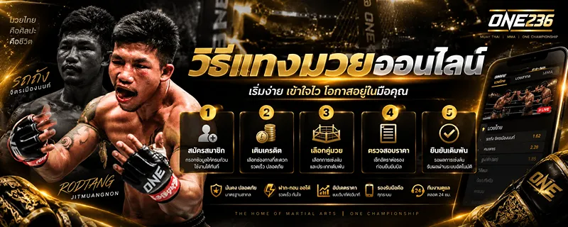 วิธีแทงมวยออนไลน์