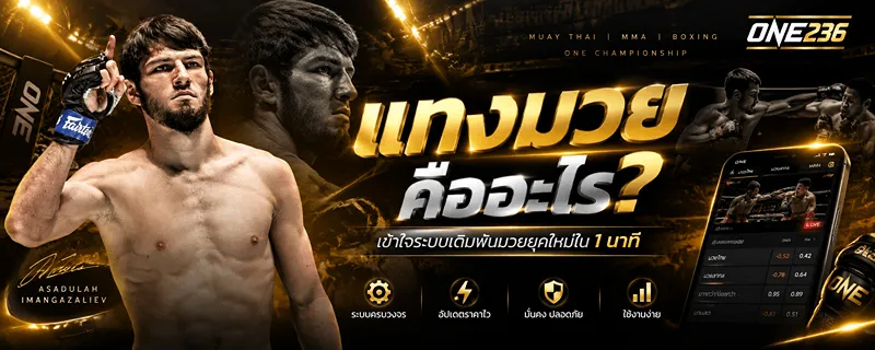 แทงมวย คืออะไร เข้าใจระบบเดิมพันมวยยุคใหม่ใน 1 นาที